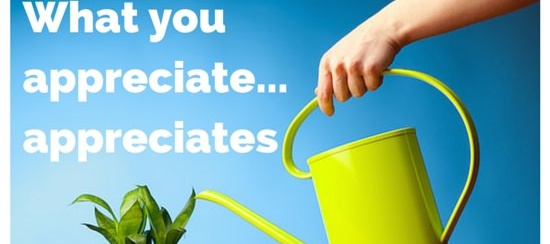What-you-appreciate